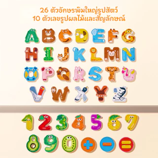 [เรียนรู้ตัวอักษรผ่านรูปสัตว์] JoyCat ชุดตัวอักษรแม่เหล็กแบบไม้ ของเล่นเสริมทักษะอังกฤษ สื่อการเรียนรู้อนุบาล