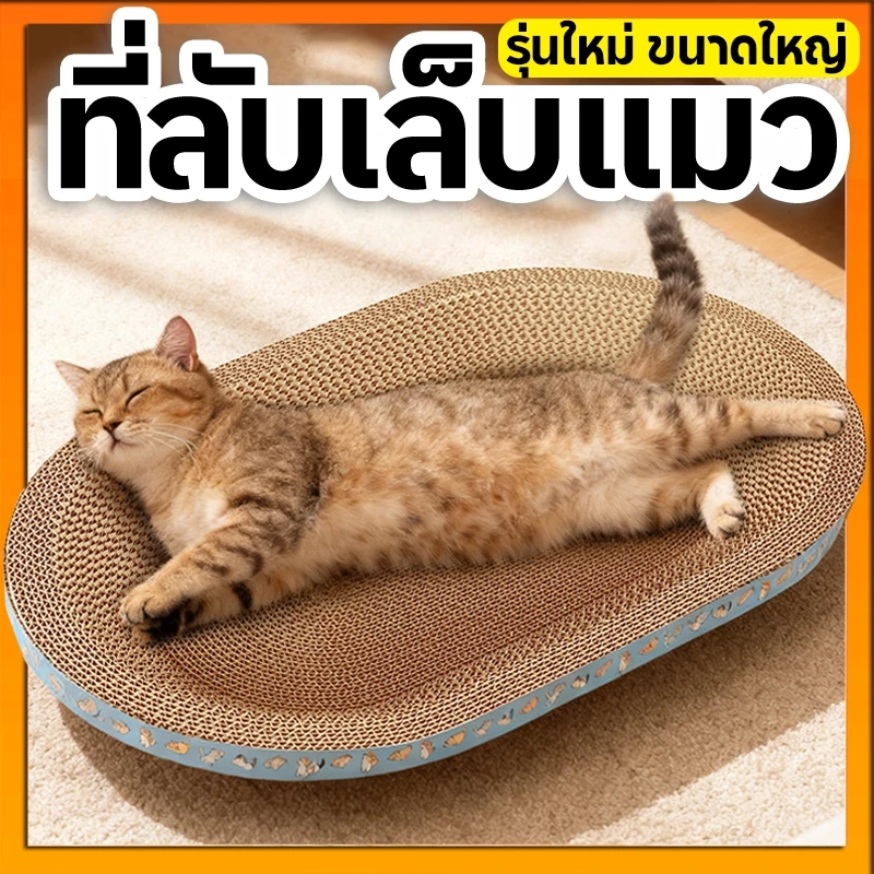 ที่ลับเล็บแมวและที่นอนแมว 2in1 thumbnail 4
