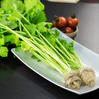 เมล็ดพันธุ์ คื่นฉ่ายจีน หนานหลิง Nan Ling Chinese Celery Seed 2000 เมล็ด คุณภาพดี ของแท้ 100%