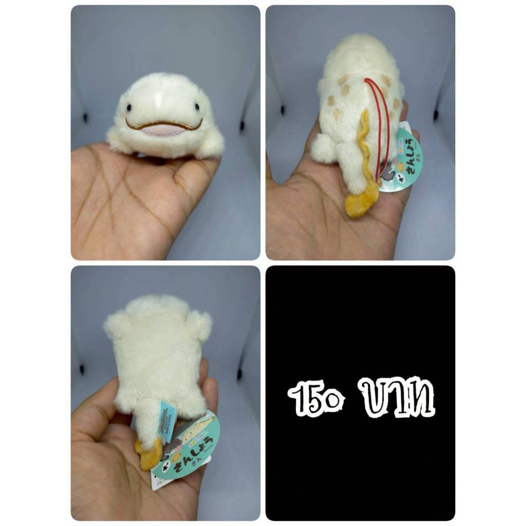 Me-ami#เมะ-อามิ#Sansho-san#ซันโชซัง#Salamander#ซาลาแมนเดอร์#Amuse#อมูส#งานพวงญี่ปุ่นมือสอง