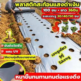 พลาสติกคลุมดิน 1ม.x400หลา(360ม) เจาะรูเดี่ยว 1แถว ผ้ายางคลุมดิน ผ้ายางคลุมวัชพืช ผ้ายางคลุมแปลงผัก