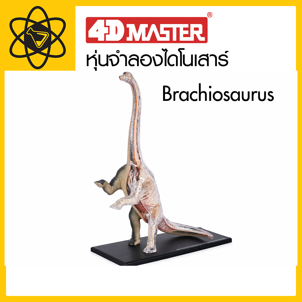 4D Vision หุ่นจำลองไดโนเสาร์ Brachiosaurus 4 มิติ