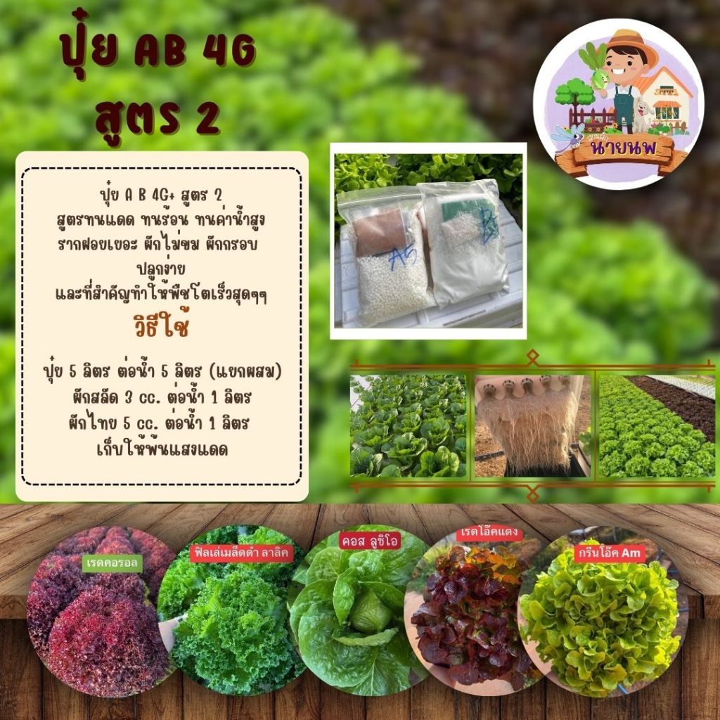 ปุ๋ยน้ำ AB 4G สูตร 2 ได้ทั้ง A และ B n5 รูปที่ 4