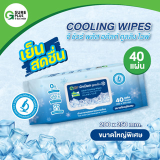 จีชัวร์พลัส ทิชชู่เปียก สูตรเย็น แพ็ค 40 แผ่น ผ้าเย็น ผ้าเปี…