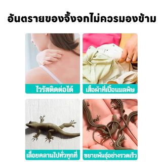 🦎 ยาจิ้งจก 35g ยาไล่จิ้งจก ไล่ตุ๊กแก อัปเกรดใหม่ ใช้งานง่าย ช่วยไล่จิ้งจกในบ้าน