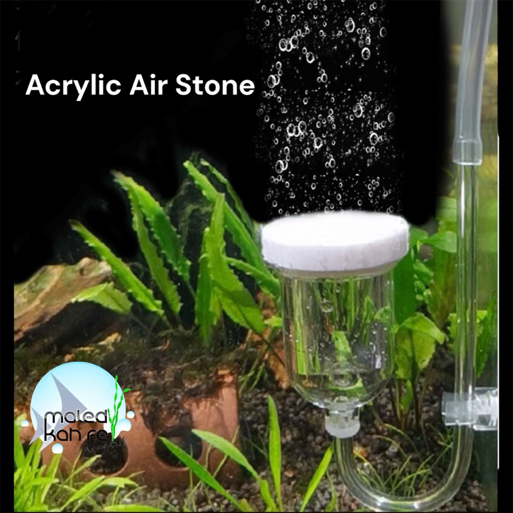 Oxygen diffuser หัวจ่าย หัวทราย ออกซิเจน ขนาดจาน 2.5 cm/ 3.5 cm เซรามิก ฟองเล็ก สวยงาม ทนทาน air stone ฟอง O2