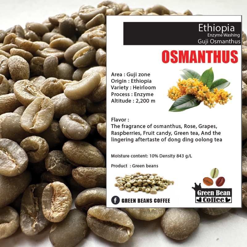 สารเมล็ดกาแฟดิบ ETHIOPIA GUJI OSMANTHUS " Natural & Enzyme Process " Green Bean ขนาด 1,000 กรัม