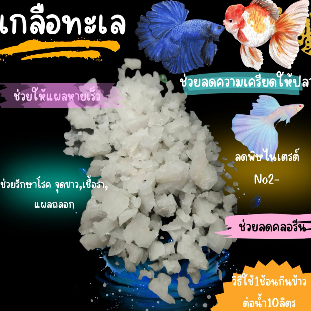 เกลือ​ ใช้สำหรับ​ฆ่าเขื้อโรคในปลา🐟🤟🌿
