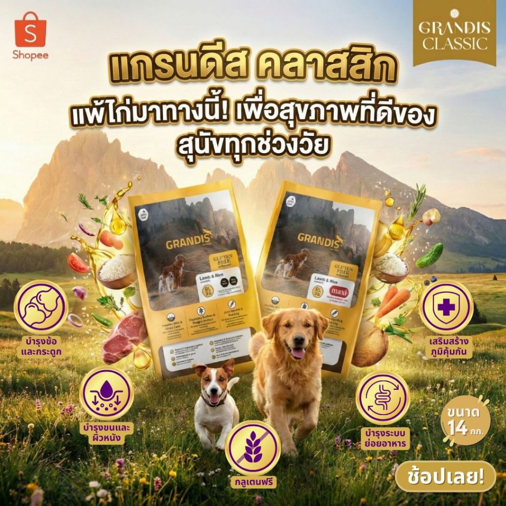 [สุดคุ้ม 14KG] GRANDIS DL26 อาหารสุนัข กลูเตนฟรี สูตรแกะ&ข้าว (Lamb & Rice) | DL26 / DL26 Maxi