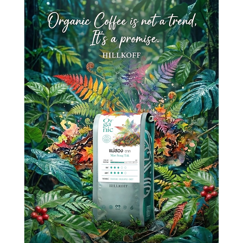 Hillkoff : Organic Mae Song Arabica coffee Tak เมล็ดกาแฟคั่วอราบิก้า 100% แม่สอง จ.ตาก Single Origin ขนาด 250 g