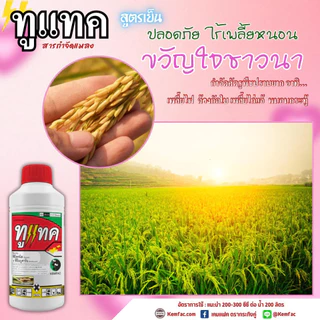 ทูแทค ขนาด 1 ลิตร - ฟีโนบูคาร์บ 16% EC + ฟิโพรนิล 2% EC - (แคมแฟค) - สูตรยาเย็น ป้องกันและกำจัด เพลี้ยหอยนาสาร เพลี้ยไก่