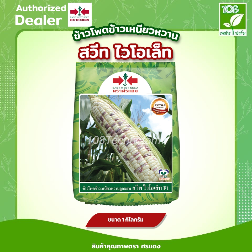 เมล็ดพันธุ์ ข้าวโพดข้าวเหนียว สวีทไวโอเล็ท ตราศรแดง  ขนาด  1 กิโลกรัม