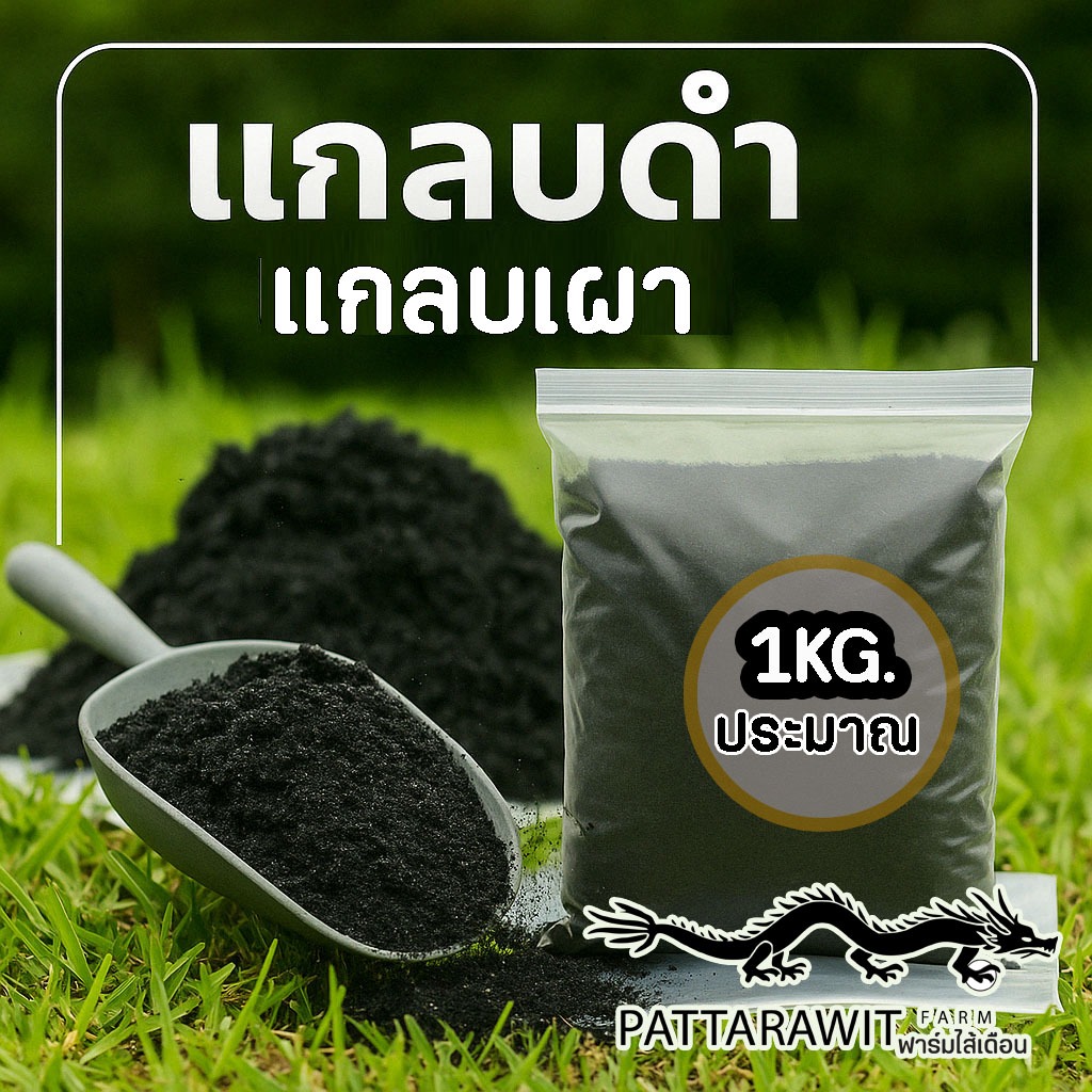 (2ถุง50)(ส่งฟรีทักแชท)แกลบดำ ขี้เถ้าแกลบ คุณภาพดี ถุงใหญ่ขนาดประมาณ 1 กิโลกรัม(น้ำหนักขึ้นอยู่กับความชื้น) – โปรปัง