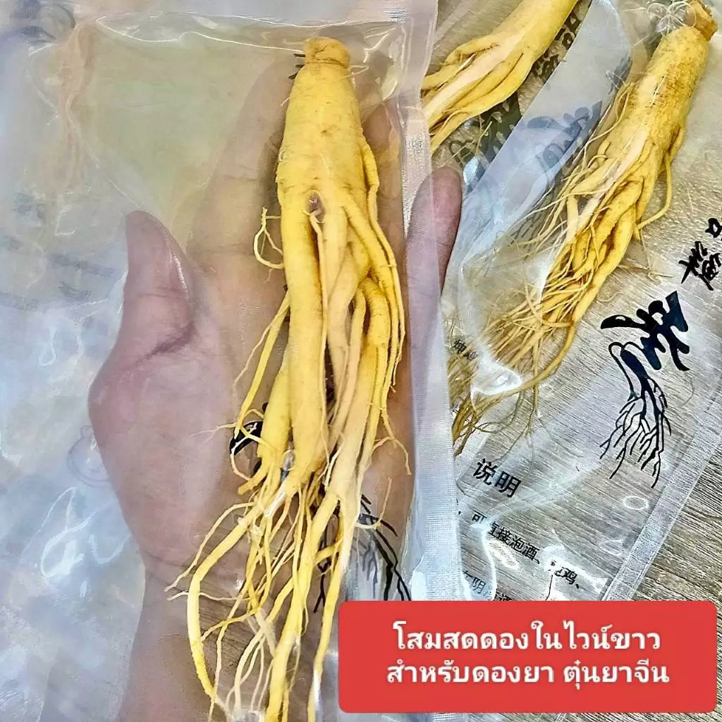 โสมจีน โสมขาวดอง เสือ 11 ตัว สำหรับดองน้ำผึ้ง ดองไวน์ ทำอาหาร บำรุงร่างกาย บำรุงสุขภาพ