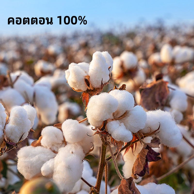 ผ้าเช็ดตัว คอตตอน 100% สารต้านจุลินทรีย์ นุ่มและดูดซับ ขนาด70x140 ซม - รูปที่ 2