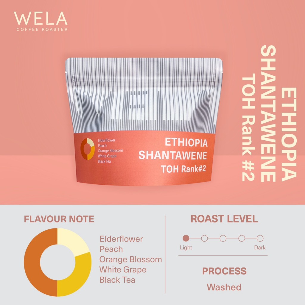 เมล็ดกาแฟคั่ว Ethiopia Shantawene TOH Rank#2 , Washed Process, Light Roast