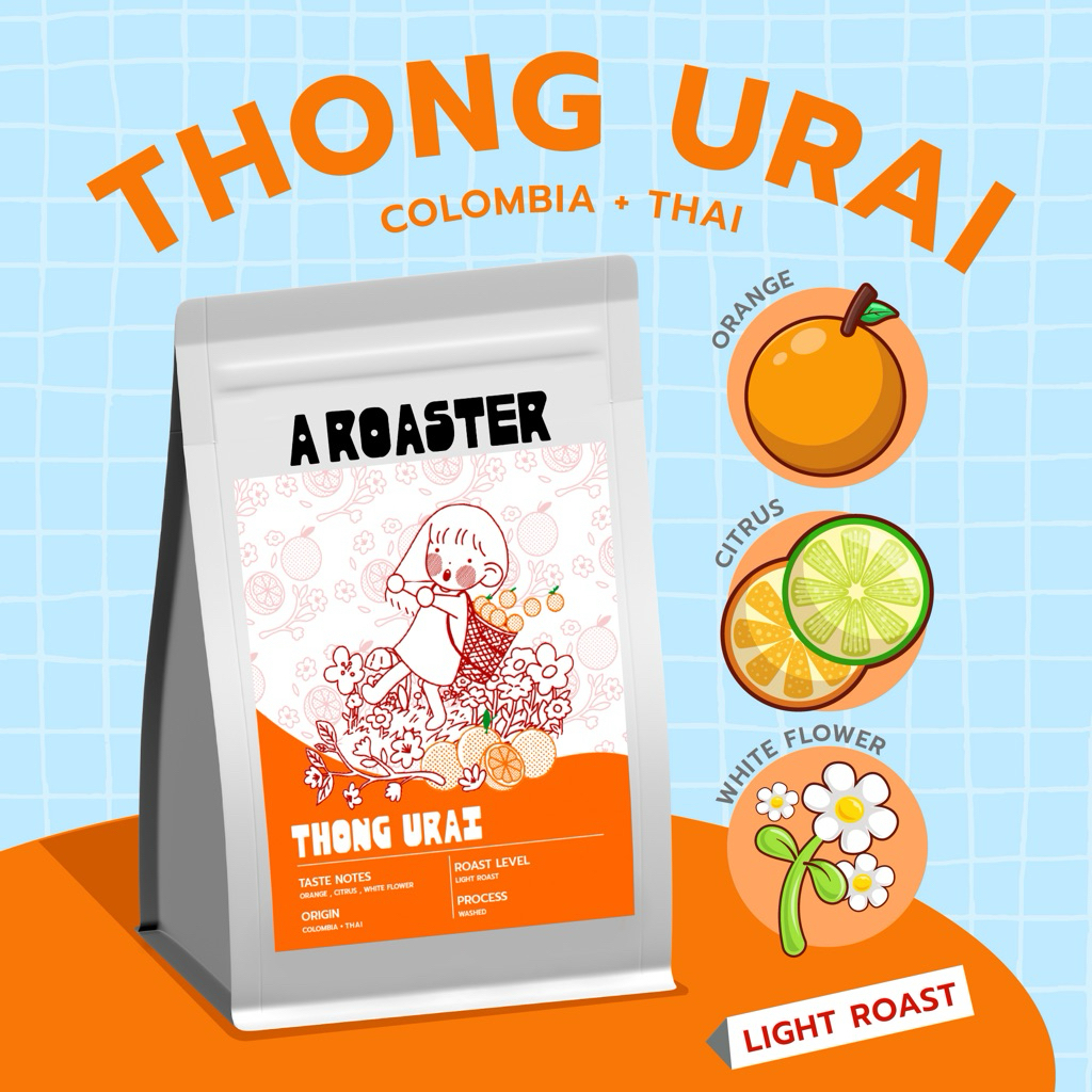 THONG URAI เมล็ดกาแฟคั่วอ่อน  Colombia Thai  กาแฟ A ROASTER
