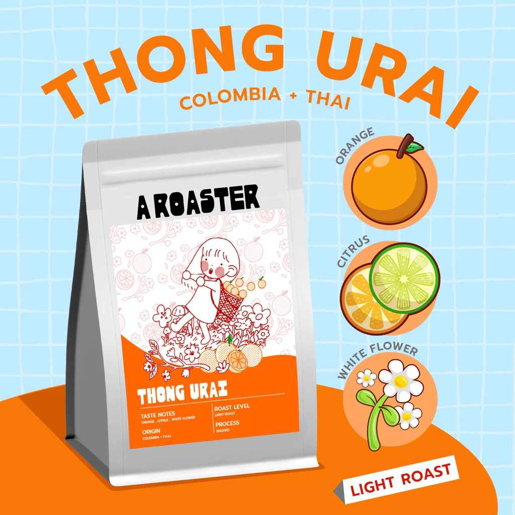 THONG URAI เมล็ดกาแฟคั่วอ่อน Colombia Thai กาแฟ A ROASTER