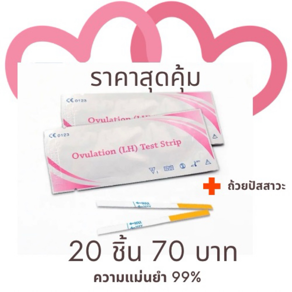 ชุดตรวจไข่ตก แบบจุ่ม,ไข่ตก,LH test,ตกไข่,ovulation test ถูกที่สุด