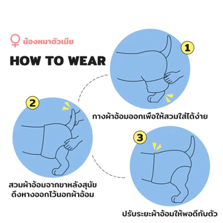 Petcho (PetStern) ผ้าอนามัยสุนัข หมาตัวเมีย ผ้าอ้อมสัตว์เลี้ยง ซุปเปอร์ดูดซับ แห้งเร็ว ป้องกันการรั่วซึมแบบ