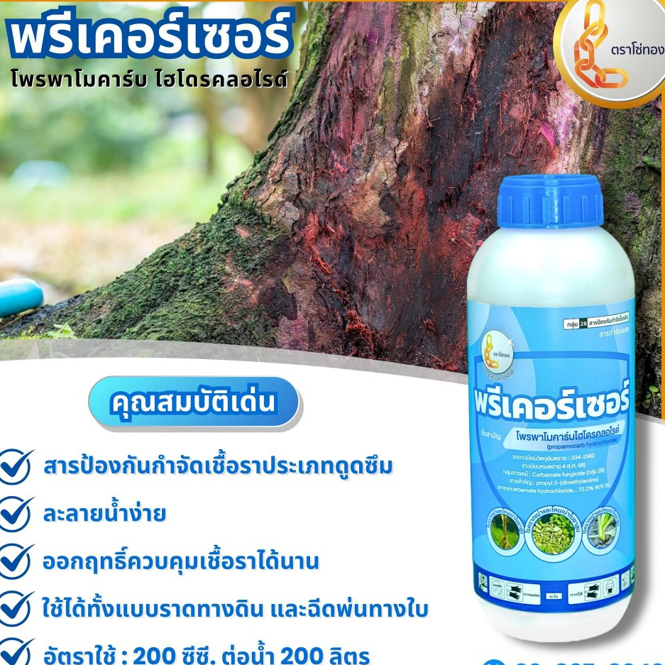 ป้องกันกำจัดเชื้อราไฟท๊อปเทอร่า โรคเน่าคอดิน// โพรพาโมคาร์ไฮโดรคลอไรด์ (พรีเคอร์เซอร์ ขนาด 1 ลิตร)