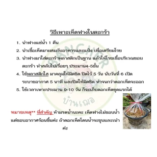 เชื้อเห็ดฟาง ชุด 5 ก้อน +อาหาร5ถุง +แป้ง5ถุง +คู่มือ