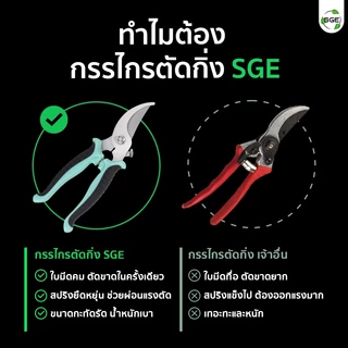 SGE กรรไกรตัดกิ่ง ตัดแต่งกิ่ง ปากโค้ง ขนาด 7 นิ้ว ตัดกิ่งหนาขาดในครั้งเดียว ตอบโจทย์งานเกษตรทุกชนิด