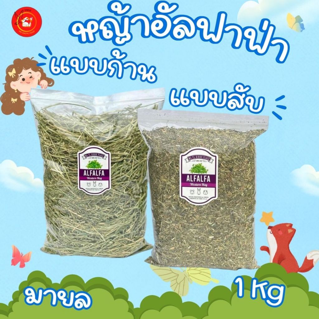 หญ้าอัลฟาฟ่าก้าน และ alfalfa chopped หญ้าอัลฟาฟ่าสับ 1 กก.เขียวหอมมาก มายล