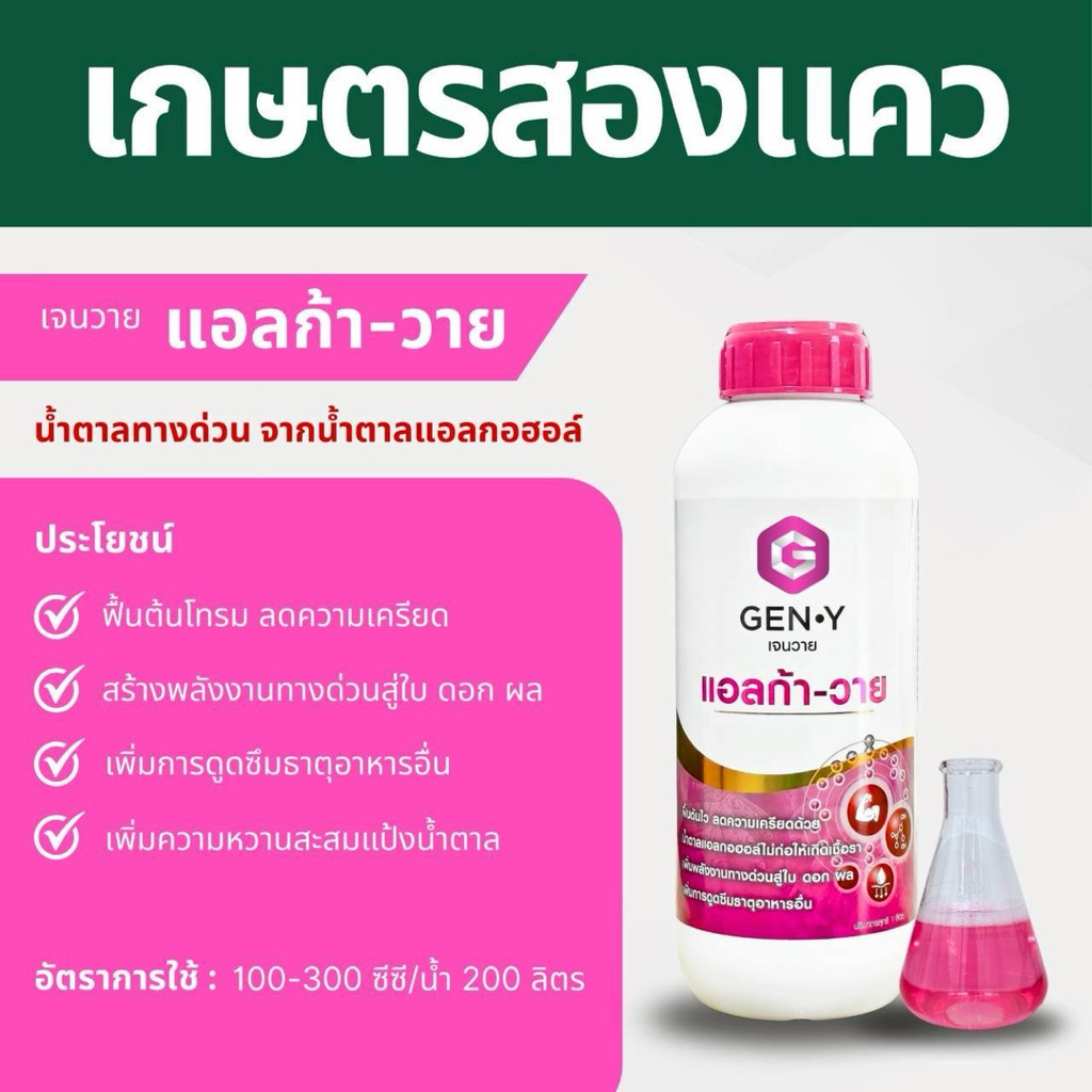 แอลก้า-วาย : น้ำตาลแอลกอฮอล์(ทางด่วน)ที่ไม่ก่อให้เกิดเชื้อรา เพิ่มพลังงานด่วน ดูดซึมเร็ว พืชใช้ได้ทันที   ขนาด1ลิตร ราคา ถูกที่สุด ดีลบีเคเค แกลเลอรีภาพที่ 2
