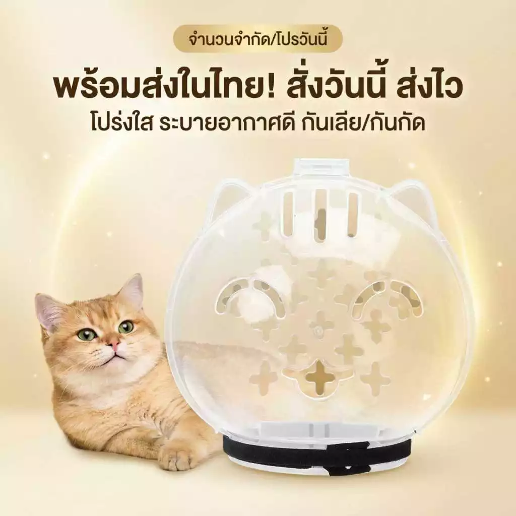 อุปกรณ์สัตว์เลี้ยง หมวกครอบหัวแมว ป้องกันการเลียแผล ป้องกันข่วนหน้า พร้อมส่งในไทย ล้างสต็อกราคาพิเศษ