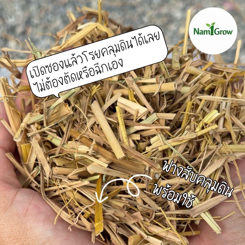 ฟางสับคลุมดิน พร้อมใช้ | สำหรับกระถาง & สวนเล็ก | Nam1Grow