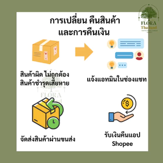 ENTEC 20-10-10 ปุ๋ยคุณภาพสูงช่วยกระตุ้น : การแตกยอด แตกกอ เหมาะกับ ผักกินใบ ไม้ผล ไม้ดอก พืชสวนทั่วไป แบ่งบรรจุ