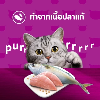 [48 ฟรี 8] WHISKAS วิสกัส อาหารเปียกแมว ลูกแมว แมวโต แมวสูงวัย เลือกรสชาติได้ 80ก.