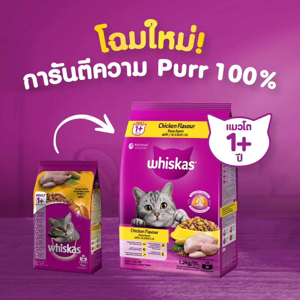 WHISKAS วิสกัส อาหารเม็ดแมวสำหรับแมวโต 1.2 กก. thumbnail 7