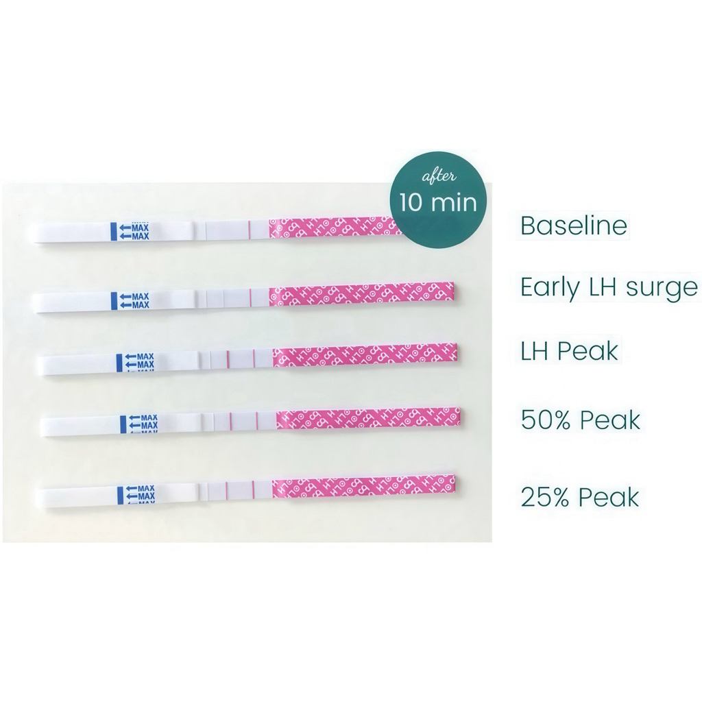 ชุดตรวจไข่ตก ที่ตรวจไข่ตก แถมถ้วยฟรี🆓LH Ovulation เทสไข่ตก ตัวช่วย มีบุตรยาก เพิ่มอัตราการตั้งครรภ์ อยากท้อง คำนวณหาวัน - รูปที่ 3