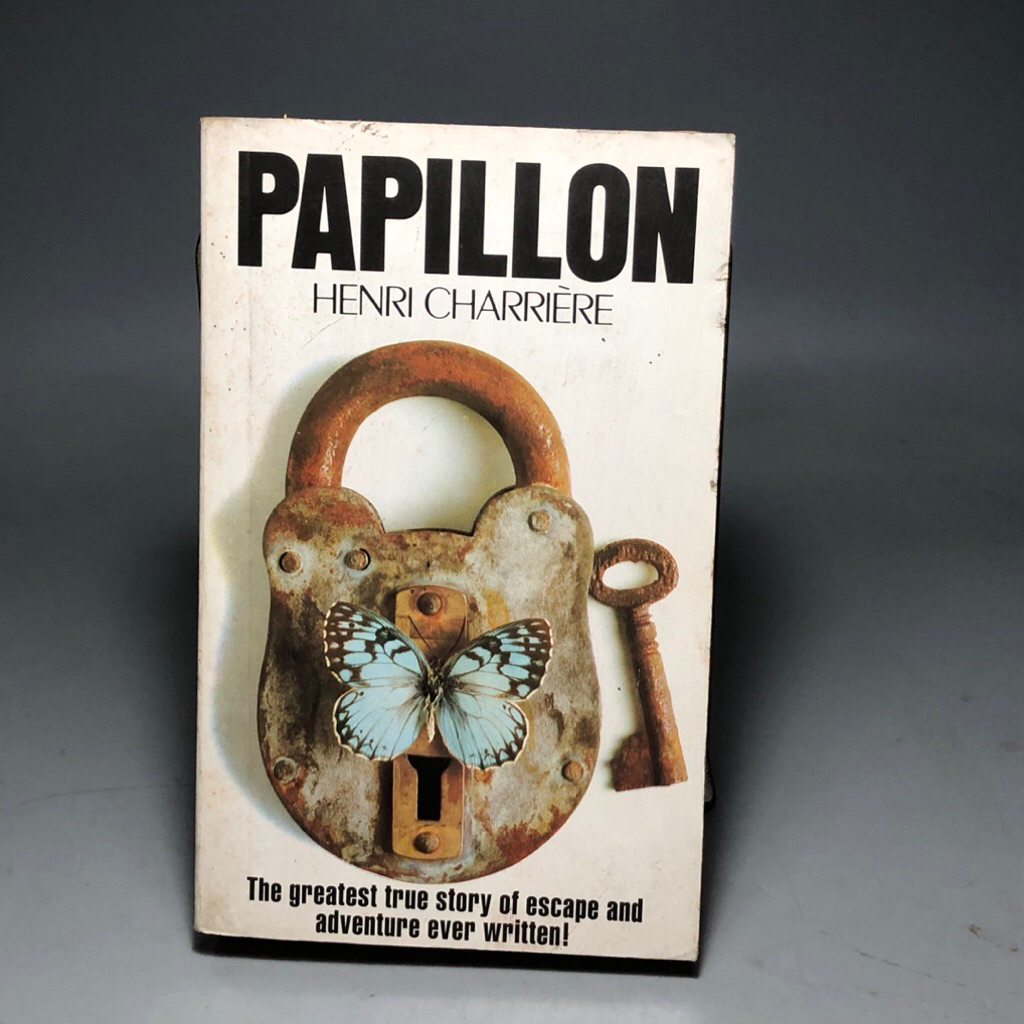 Papillon **ตำหนิเหลืองตามรูป