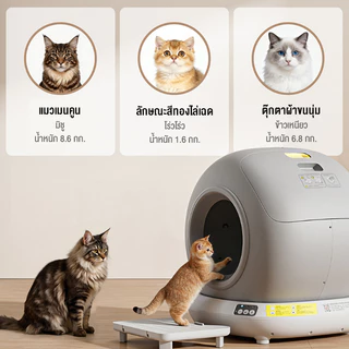 ห้องน้ำแมวอัจฉริยะ ห้องน้ําแมวอัต ห้องน้ำแมวกันเก็บกลิ่น กะบะทรายแมว ห้องน้ำแมวใหญ่ กันกลิ่นเหม็นห้องน้ำแมว ห้องน้ำแมว