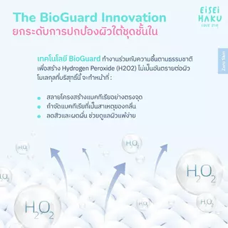 Eisei Haku Shiro Bra บราไร้ขอบ ไร้โครง นุ่มเบาสบายกลืนผิว เว้าข้างลึก มี BioGuard บราลดกลิ่นอับ เสื้อในใส่สบาย