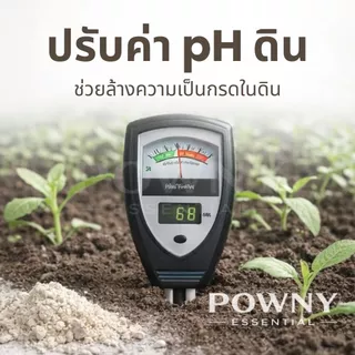 ปูนเปลือกหอย แท้ 100% ฆ่าเชื้อรา แก้ปัญหาใบงอ ใบหยิก รากเน่า เพิ่มแคลเซียม