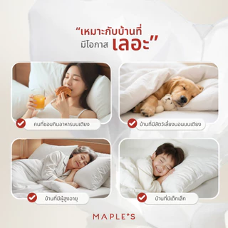 MAPLE'S ผ้านวม​ ปลอกนวมรุ่นกันน้ำ 550-770เส้น ลดสิว เอนก ผ้าห่ม Blanket waterproof comforter duvet