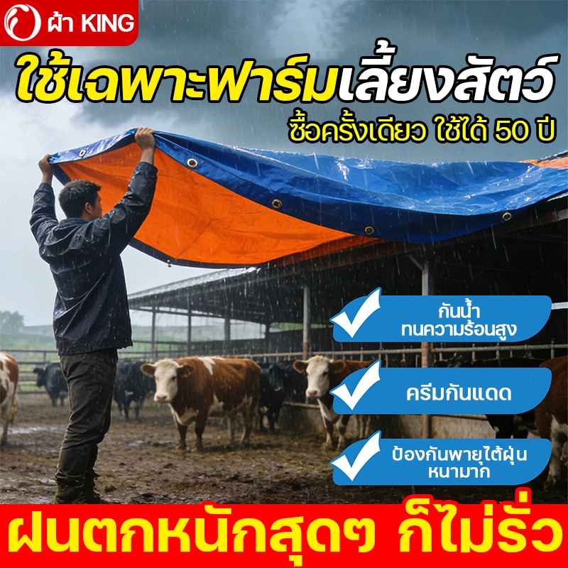 ฝนตกหนักสุดๆ ก็ไม่รั่ว ผ้าใบกันแดดฝน PVC ซื้อครั้งเดียว ใช้ได้ 50 ปี ผ้าใบกันน้ำหนาสองด้าน มีหลายขนาดให้เลือก