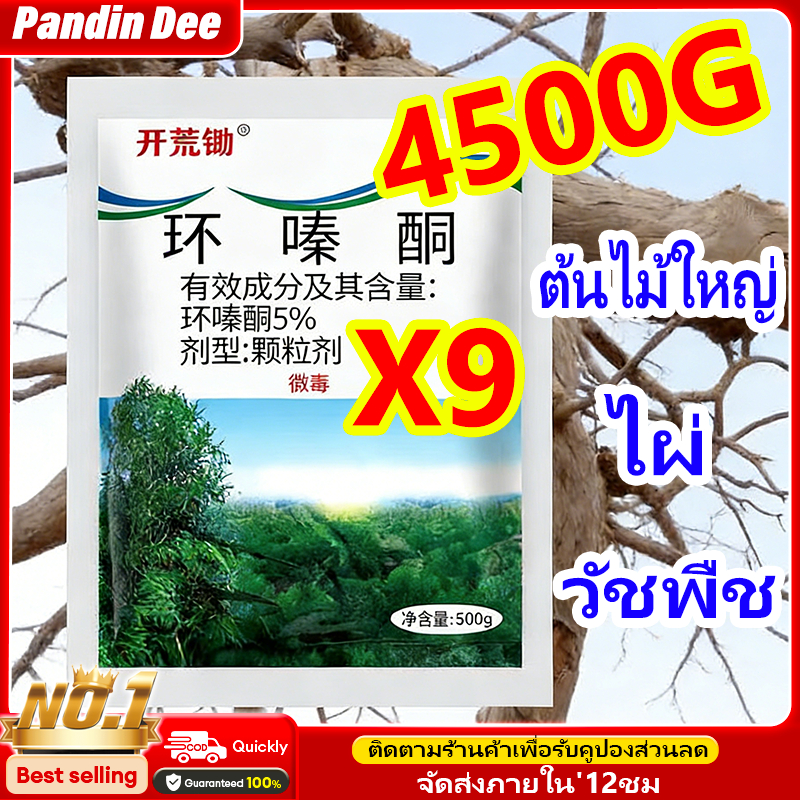 Pandin 4500G ผงกำจัดต้นไม้และวัชพืช ยาฆ่าไม้ไผ่ รากเน่ารากไม่ขึ้นอีก ยาฆ่าไผ่ ตรงไปที่ราก สูตรเข้มข้น กำจัดรากเน่า