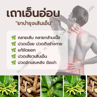 ยาสมุนไพร เถาเอ็นอ่อน บรรเทาปวดกล้ามเนื้อ ปวดข้อเข่า 100 แคปซูล ของแท้
