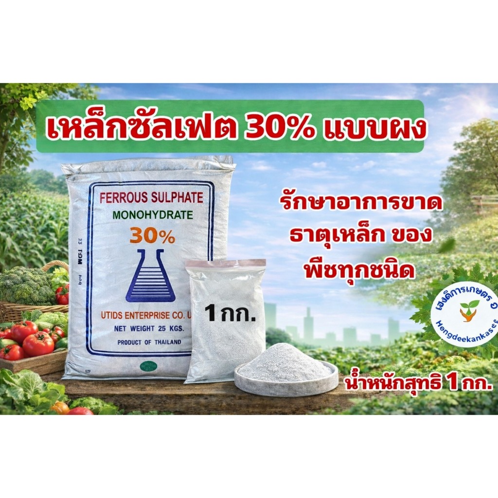 เหล็กซัลเฟต เฟอรัสซัลเฟต Ferous Sulfate แบบผง และ เกล็ด แก้ใบเหลือง บรรจุ 1 กิโลกรัม