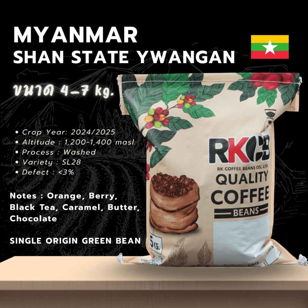 สารกาแฟพม่า SL28  Myanmar (SHAN STATE YWANGAN) บรรจุ 5Kg - 7Kg. RK.Coffeebean