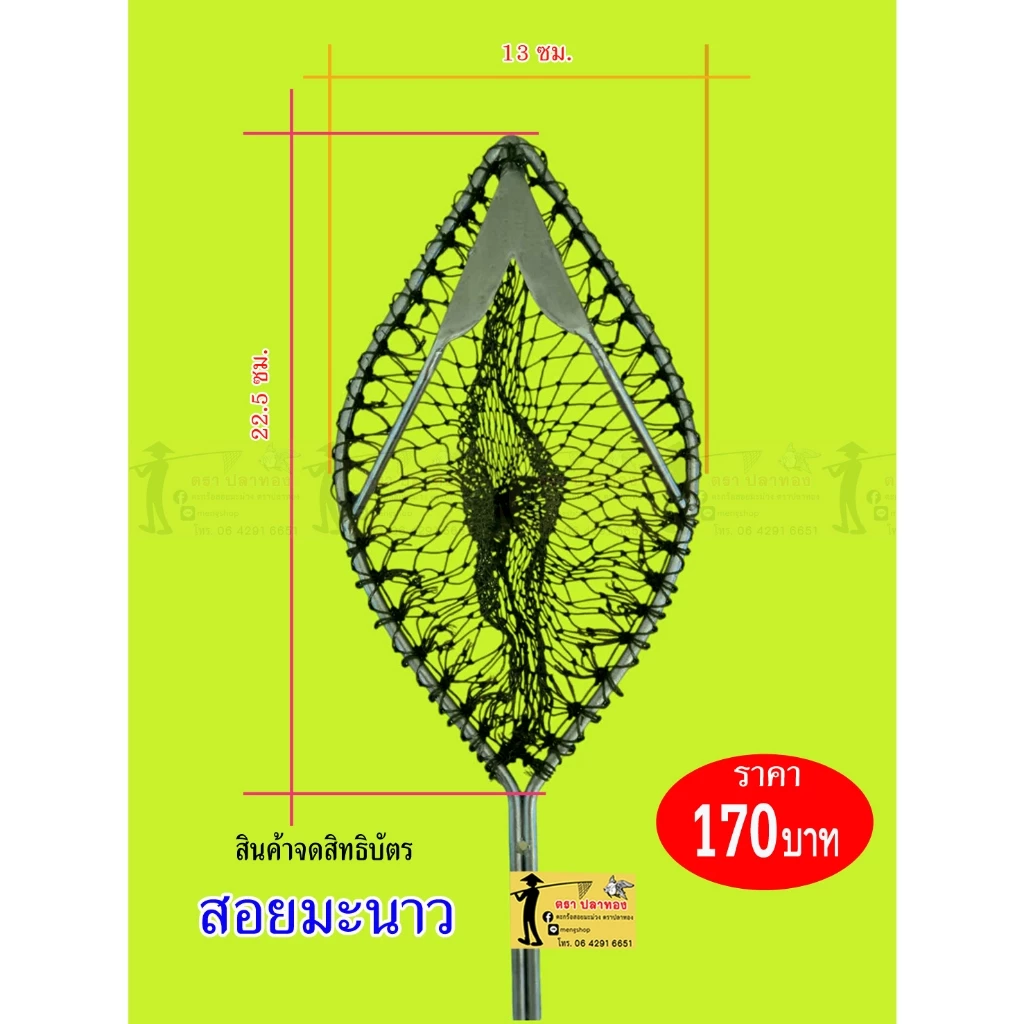 ตะกร้อสอยผลไม้ตราปลาทอง มะยงชิด มะปราง มะนาว(ขนาดเล็กถุงตาข่าย)