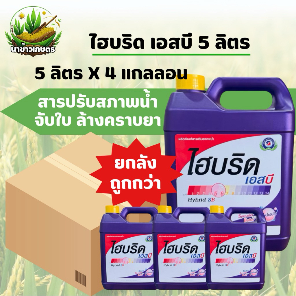 ยกลัง ไฮบริด เอสบี 5ลิตรx4แกลลอน สารปรับสภาพน้ำ จับใบ ล้างคราบยา ช่วยให้สารละลายเข้ากันดีขึ้น ช่วยแผ่กระจาย