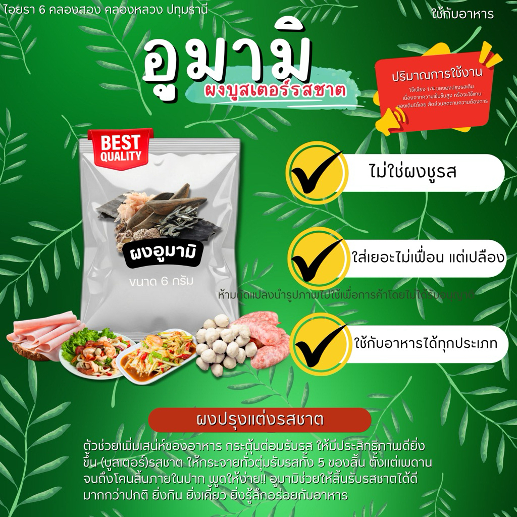 อูมามิ ขนาดทดลอง นวัตกรรมผงปรุงรสในอุตสาหกรรม จากประเทศญี่ปุ่น