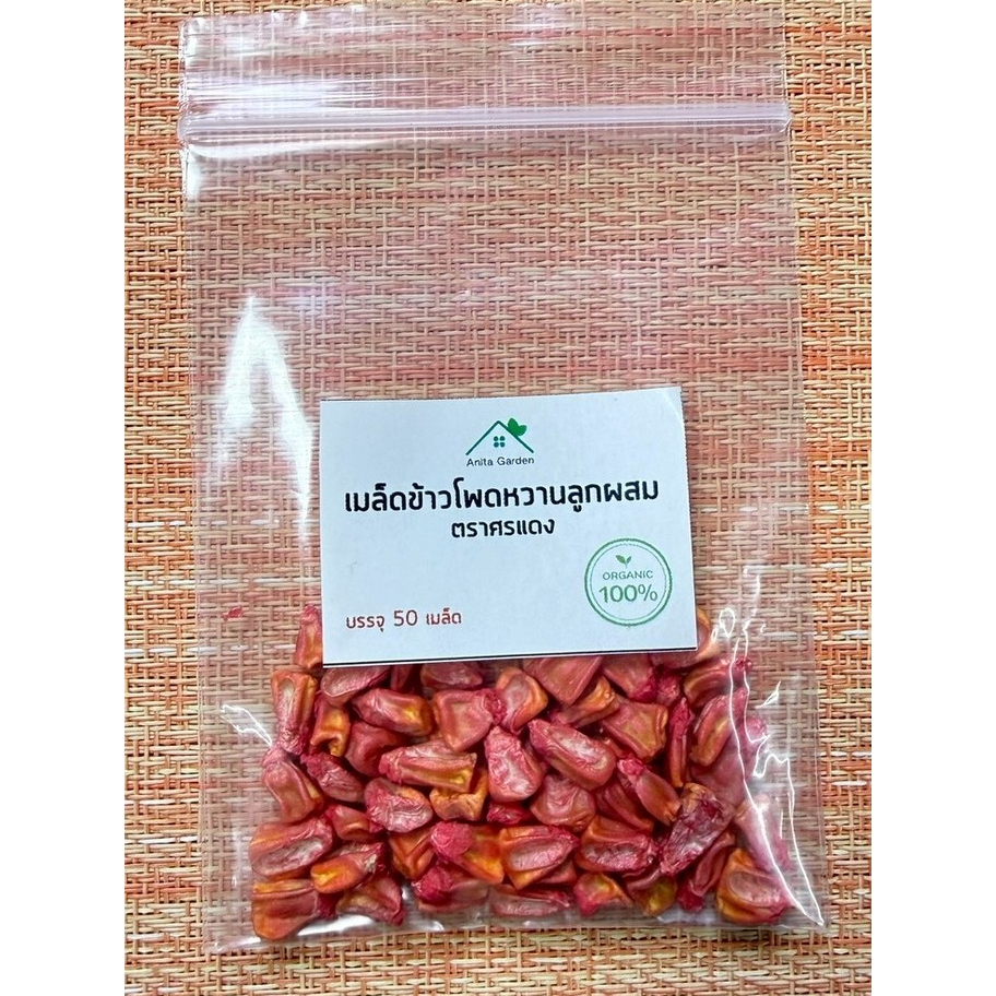 เมล็ดพันธุ์ข้าวโพดหวานลูกผสม ตราศรแดง แบ่งขายถุงละ50 เมล็ด - รูปที่ 2