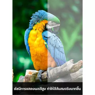 โคมไฟ ดาวน์ไลท์ ฝังฝ้า ไฟดาวน์ไลท์ กลม แสงเดย์และแสงวอร์ม